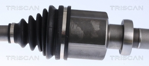 Drive Shaft
