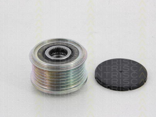 Alternator Freewheel Clutch (8641 284004)