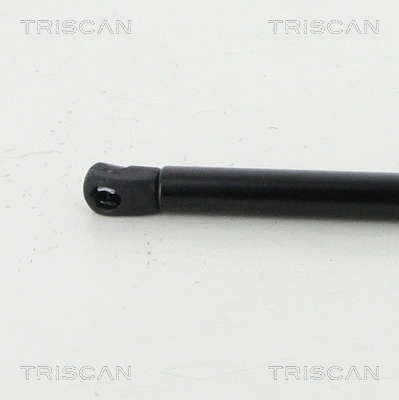 Gas Spring, boot/cargo area