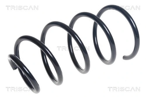 Suspension Spring (8750 11181)