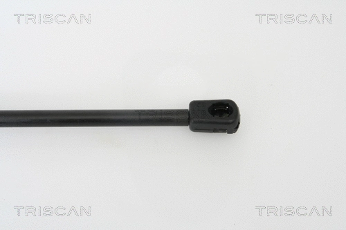 Gas Spring, boot/cargo area