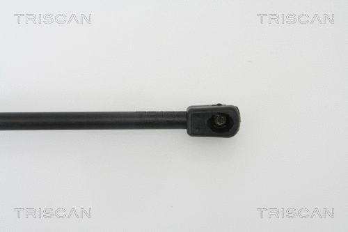 Gas Spring, boot/cargo area