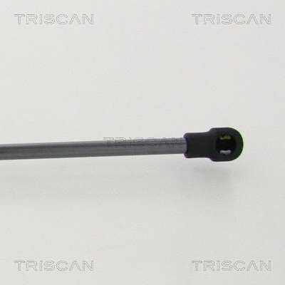 Gas Spring, boot/cargo area