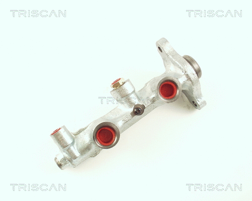 Brake Master Cylinder (8130 24102)