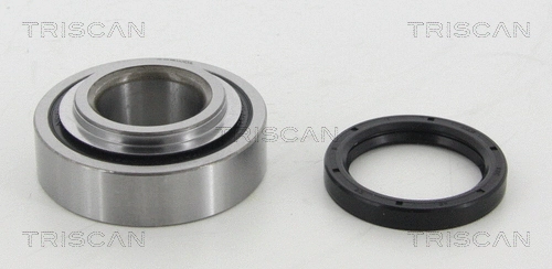 Wheel Bearing Kit (8530 41208)