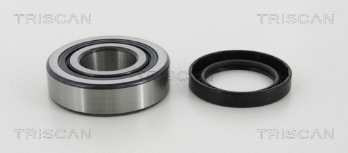 Wheel Bearing Kit (8530 10221)