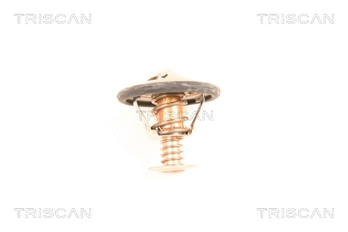 Thermostat, coolant (8620 8488)