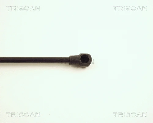 Gas Spring, boot/cargo area