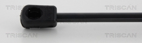 Gas Spring, boot/cargo area