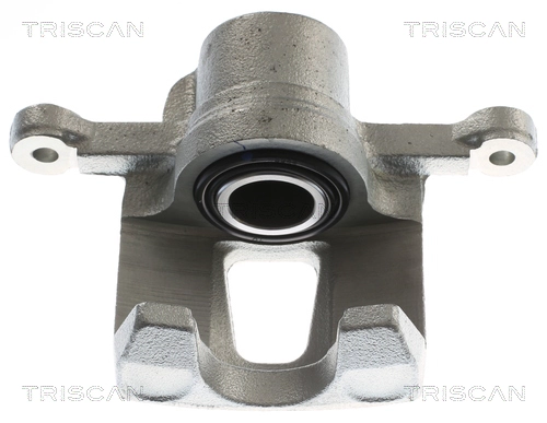 Brake Caliper (8175 16118)