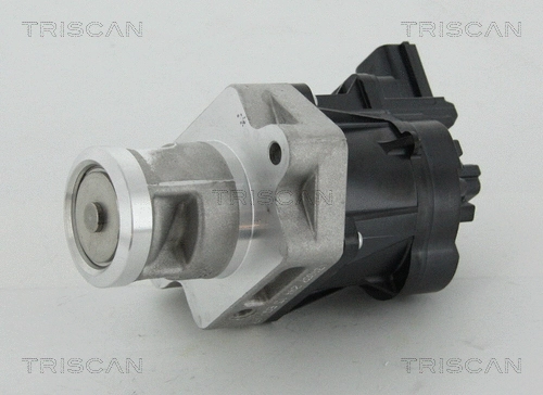 EGR Valve (8813 24083)
