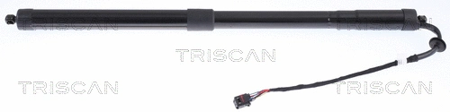 Gas Spring, boot/cargo area (8710 20301)