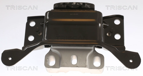 Mounting, engine