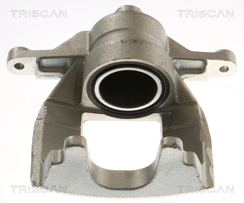 Brake Caliper (8175 13133)