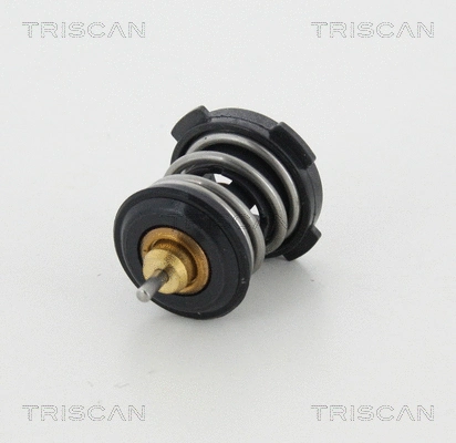 Thermostat, coolant (8620 46687)