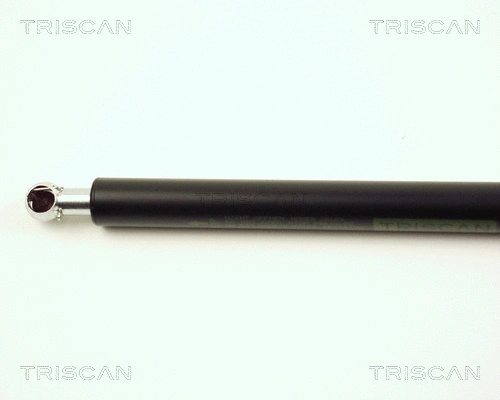 Gas Spring, boot/cargo area