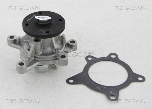 Water Pump, engine cooling (8600 43021)
