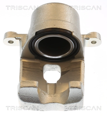 Brake Caliper (8175 13119)