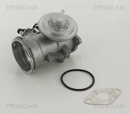 EGR Valve (8813 29302)
