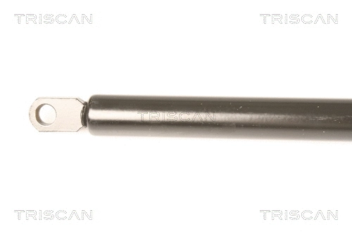 Gas Spring, boot/cargo area