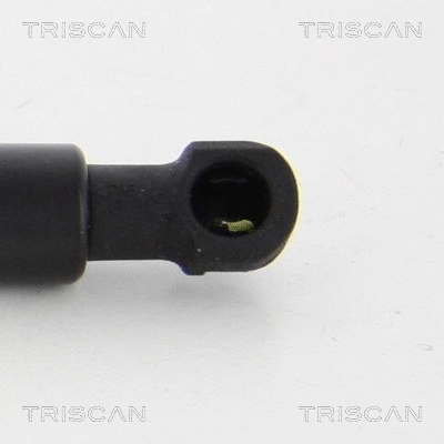 Gas Spring, boot/cargo area (8710 292018)