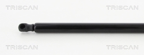 Gas Spring, boot/cargo area