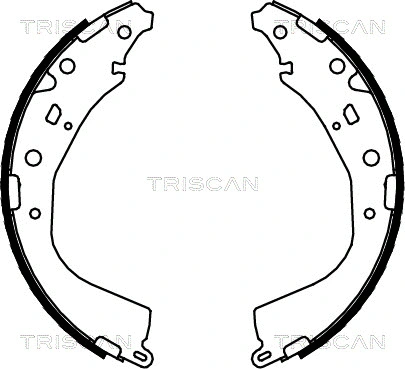 Brake Shoe Set (8100 13053)