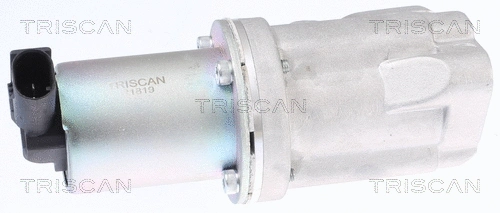 EGR Valve (8813 43009)