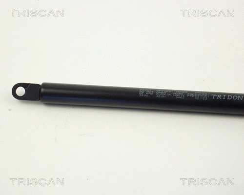 Gas Spring, boot/cargo area