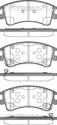 Brake Pad Set, disc brake (8110 50013)