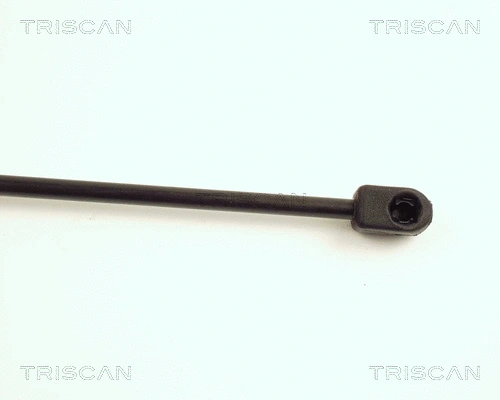 Gas Spring, boot/cargo area
