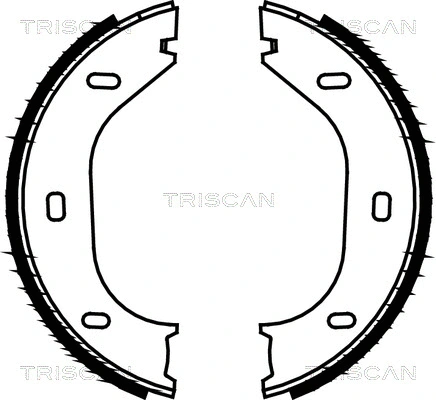 Brake Shoe Set, parking brake (8100 10290)
