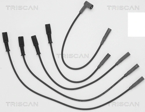 Ignition Cable Kit (8860 4081)
