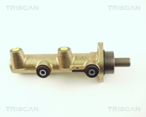 Brake Master Cylinder (8130 25115)