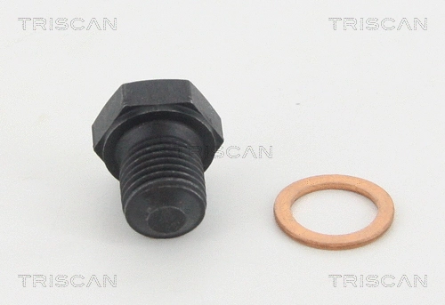 Screw Plug, oil sump (95-0976)
