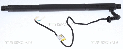 Gas Spring, boot/cargo area (8710 11302)