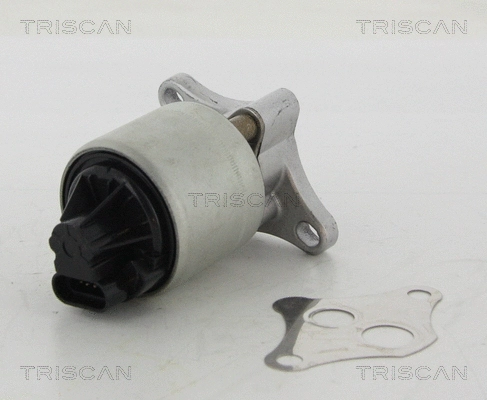 EGR Valve (8813 24004)