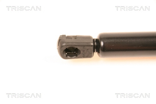 Gas Spring, boot/cargo area