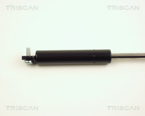 Gas Spring, boot/cargo area