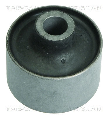 Mounting, control/trailing arm (8500 16826)