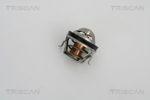 Thermostat, coolant (8620 19988)