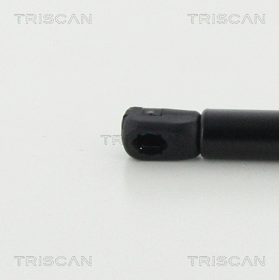 Gas Spring, rear window