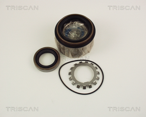 Wheel Bearing Kit (8530 10251)