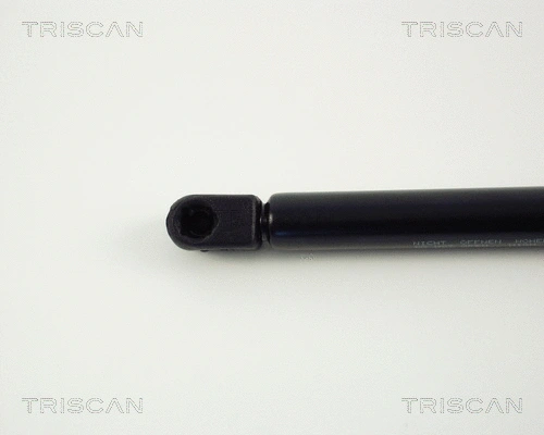 Gas Spring, boot/cargo area