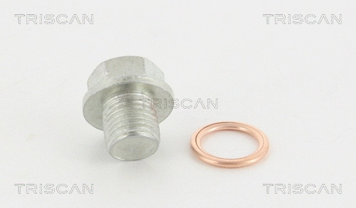 Screw Plug, oil sump (95-0956)
