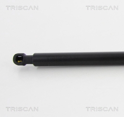 Gas Spring, boot/cargo area