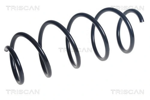 Suspension Spring (8750 23213)