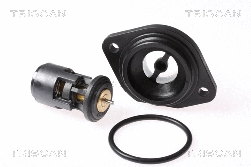 Thermostat, coolant (8620 10187K)