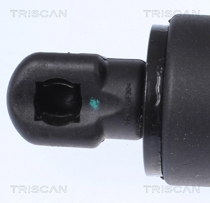 Gas Spring, boot/cargo area