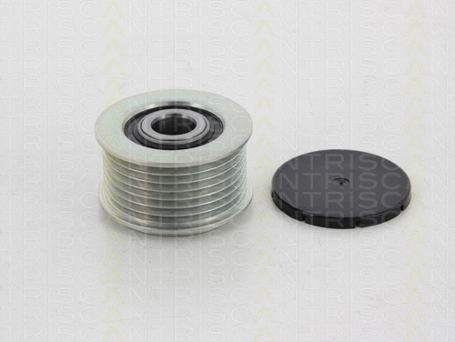Alternator Freewheel Clutch (8641 294023)